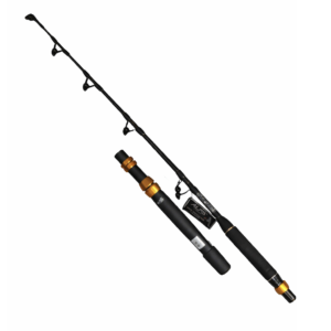 Fiskestang - Savage Gear SG2 Seabass 9'